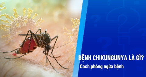Phòng chống dịch bệnh Chikungunya
